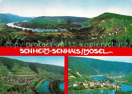 AK / Ansichtskarte Senheim Senhals Fliegeraufnahme Moselpartien Senheim Senhals