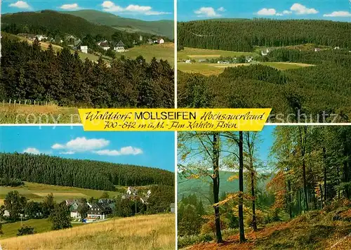 AK / Ansichtskarte Mollseifen im Hochsauerland Kahler Asten Mollseifen