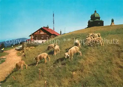 AK / Ansichtskarte Beskydy Radhost Chata U kaple Berghaus Schafe Beskydy