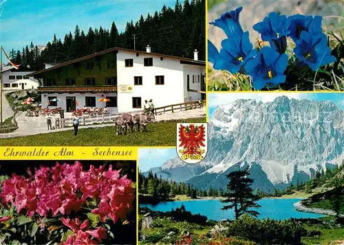 AK / Ansichtskarte Ehrwald_Tirol Ehrwalder Alm Seebensee Wettersteingebirge Alpenflora Ehrwald Tirol