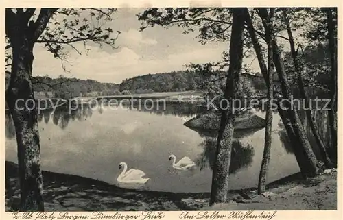 AK / Ansichtskarte Bergen_Celle uebungsplatz Muehlenteich Bergen_Celle