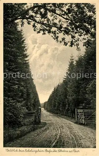 AK / Ansichtskarte Silberborn Waldblick Erholungsheim  Silberborn