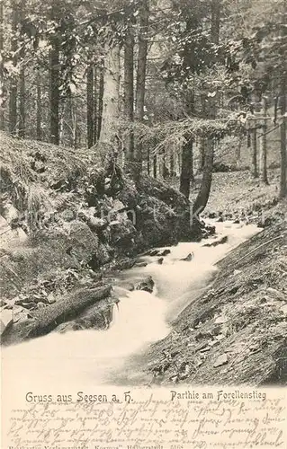 AK / Ansichtskarte Seesen_Harz Forellensteg Seesen Harz