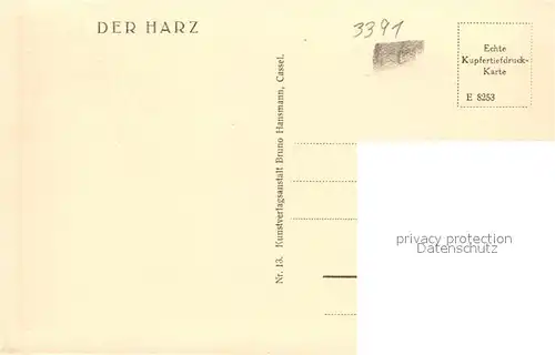 AK / Ansichtskarte Wildemann Panorama Wildemann