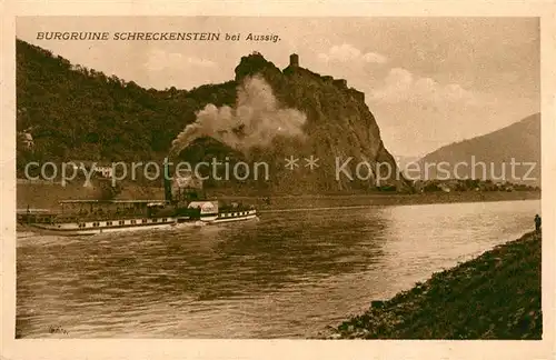 AK / Ansichtskarte Burg_Schreckenstein_Burg_Strekov Dampfer Saxonia Burg_Schreckenstein