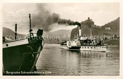 AK / Ansichtskarte Schreckenstein_Burg_Strekov Dampfer Diesbar Schreckenstein_Burg