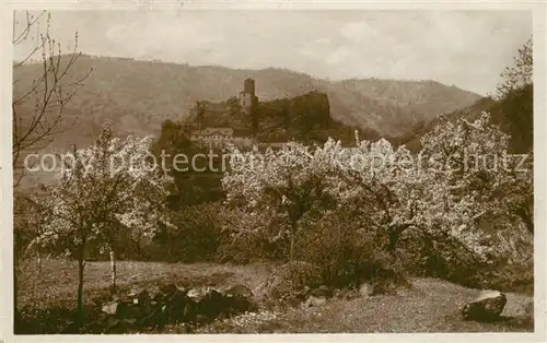 AK / Ansichtskarte Schreckenstein_Burg_Strekov  Schreckenstein_Burg