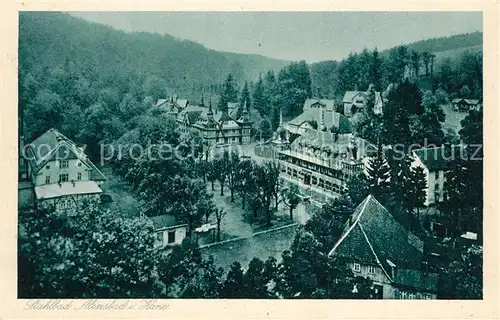 AK / Ansichtskarte Harz_Region Panorama Harz Region