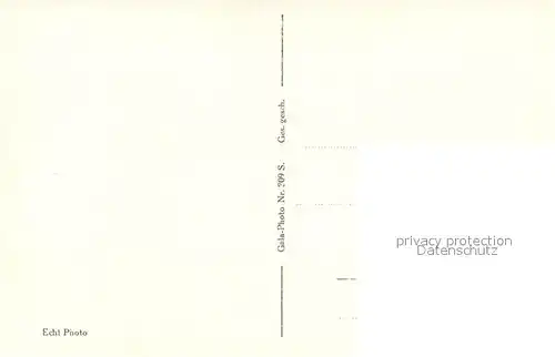 AK / Ansichtskarte Wernigerode_Harz Panorama Schloss Wernigerode Harz