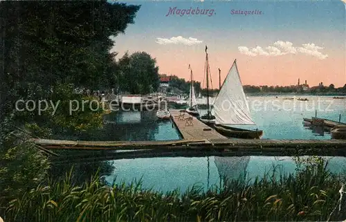 AK / Ansichtskarte Magdeburg Salzquelle Magdeburg