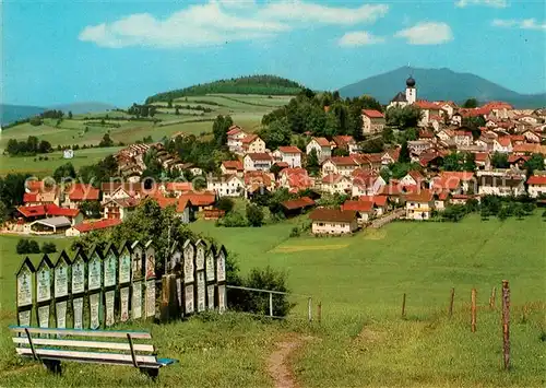 AK / Ansichtskarte Lam_Oberpfalz mit Hohenbogen Lam_Oberpfalz