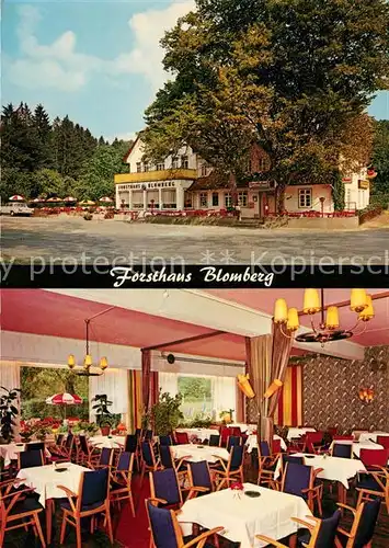 AK / Ansichtskarte Blomberg_Lippe Forsthaus Blomberg Gastraum Blomberg Lippe