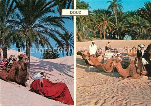AK / Ansichtskarte Douz Camele in der Oase Douz