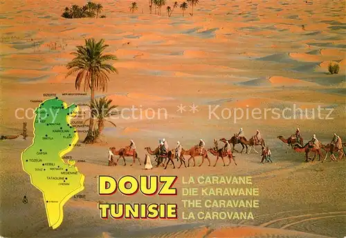 AK / Ansichtskarte Douz Camelkarawane in der Wueste Douz