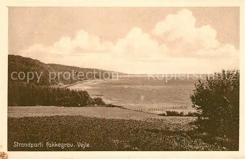 AK / Ansichtskarte Vejle Strandparti Fakkegrav Vejle