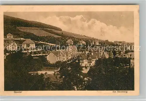 AK / Ansichtskarte Goslar Am Steinberg Goslar