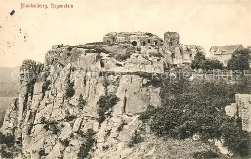 AK / Ansichtskarte Blankenburg_Harz Rgenstein Blankenburg_Harz