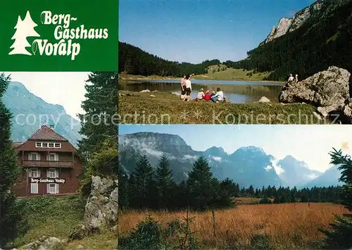 AK / Ansichtskarte Voralpsee Berggasthaus Bergsee Gamperfiner Hochmoor Alpen Voralpsee