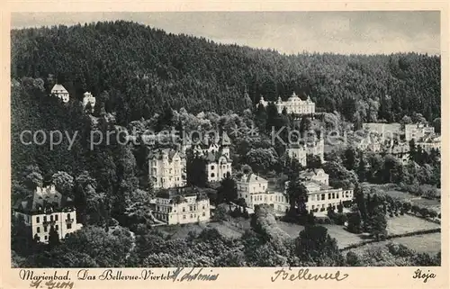 AK / Ansichtskarte Marienbad_Tschechien_Boehmen Bellevue Viertel Marienbad_Tschechien