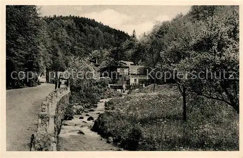 AK / Ansichtskarte Trusetal Gasthaus Pension Zum Trusetaler Wasserfall  Trusetal