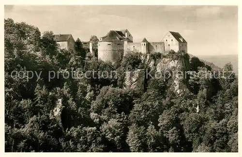 AK / Ansichtskarte Burg_Wildenstein Panorama Burg_Wildenstein