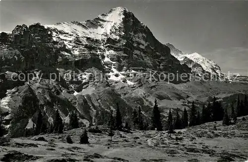 AK / Ansichtskarte Grindelwald Eiger Jungfrau Bussalp Grindelwald