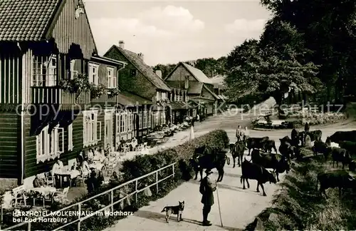 AK / Ansichtskarte Bad_Harzburg Harzhotel Molkenhaus Bad_Harzburg