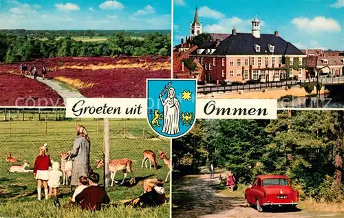 AK / Ansichtskarte Ommen_Overijssel Heide Damwild Rathaus Ommen Overijssel