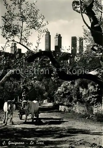 AK / Ansichtskarte San_Gimignano Le Torri Kuehe San_Gimignano