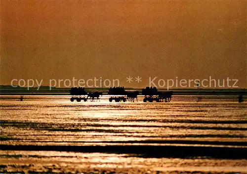AK / Ansichtskarte Cuxhaven_Doese_Nordseebad Duhnen und Waldbad Sahlenburg Wattwagen von der Insel Neuwerk kommend Cuxhaven_Doese_Nordseebad