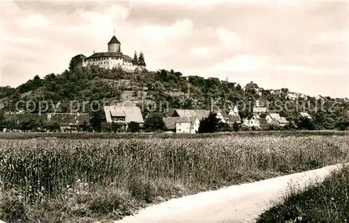 AK / Ansichtskarte Backnang Blick zur Burg Reichenberg Backnang