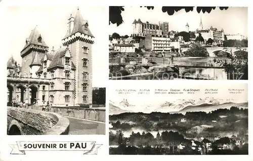 AK / Ansichtskarte Pau Chateau le Gave et la Chaine des Pyrenees Pau