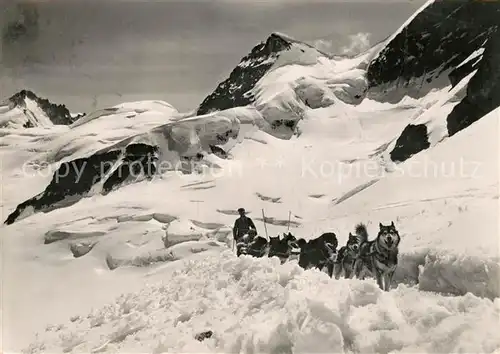 AK / Ansichtskarte Jungfraujoch Schlittenhunde Gletscherhorn Jungfraujoch