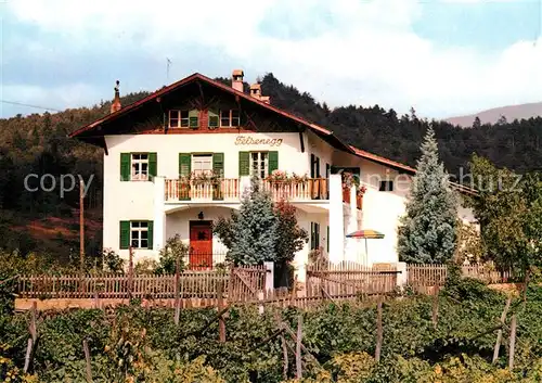 AK / Ansichtskarte Prissian Gaestehaus Felsenegg Prissian