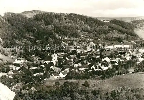 AK / Ansichtskarte Geising_Erzgebirge Panorama Geising Erzgebirge