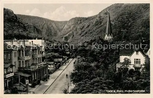 AK / Ansichtskarte Thale_Harz Hubertusstrasse Thale_Harz