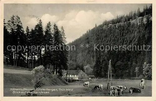 AK / Ansichtskarte Finsterbergen_Bad Hainfelsen  Finsterbergen_Bad