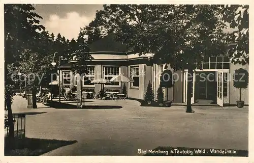 AK / Ansichtskarte Bad_Meinberg Wandelhalle Bad_Meinberg