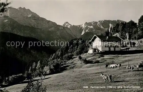 AK / Ansichtskarte Partnachalm Panorama Dreitorspitze Partnachalm