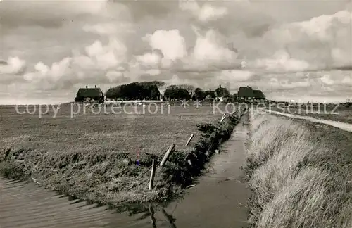 AK / Ansichtskarte Hallig_Hooge Panorama Hallig Hooge