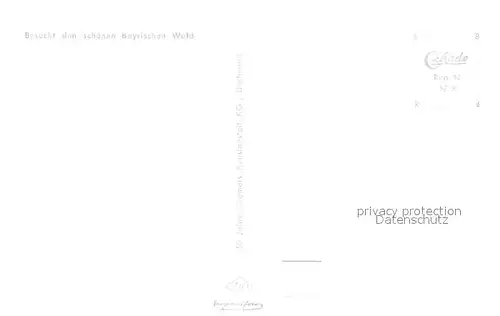 AK / Ansichtskarte Bodenmais Panorama Blick vom Silberberg  Bodenmais