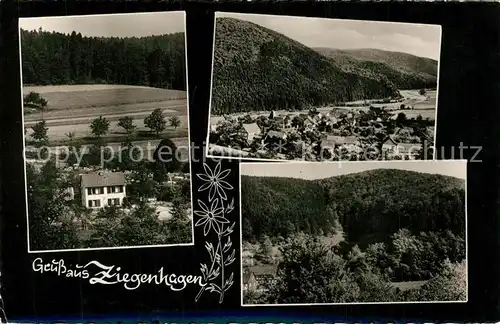 AK / Ansichtskarte Ziegenhagen_Witzenhausen Panoramen Ziegenhagen Witzenhausen