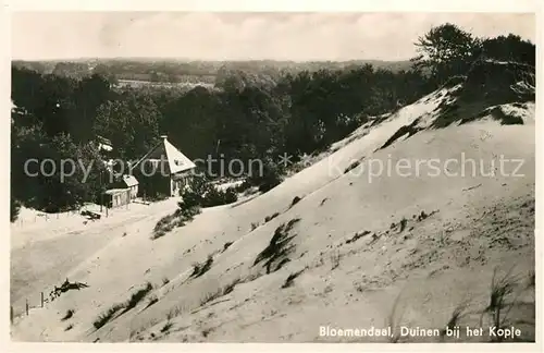 AK / Ansichtskarte Bloemendaal Duinen  Bloemendaal