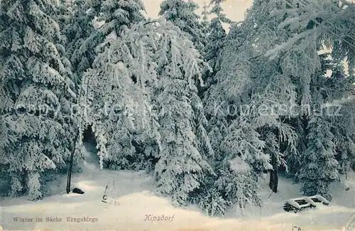 AK / Ansichtskarte Kipsdorf Winterlandschaft Kipsdorf