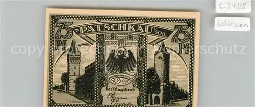 AK / Ansichtskarte Patschkau_Schlesien  Patschkau_Schlesien