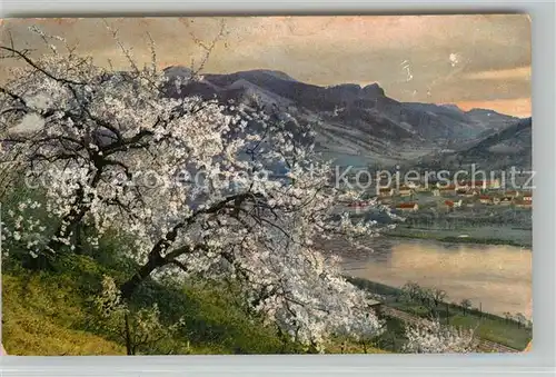 AK / Ansichtskarte Salesel_Tschechien Fruehling Salesel_Tschechien