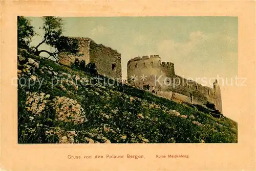 AK / Ansichtskarte Pollau_Pavlov Ruine Maidenburg  