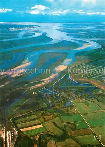 AK / Ansichtskarte Bassin_d_Arcachon Bassin a maree basse au fond Arcachon et les Passes vue aerienne Bassin_d_Arcachon