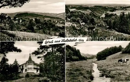 AK / Ansichtskarte Halscheid  Halscheid