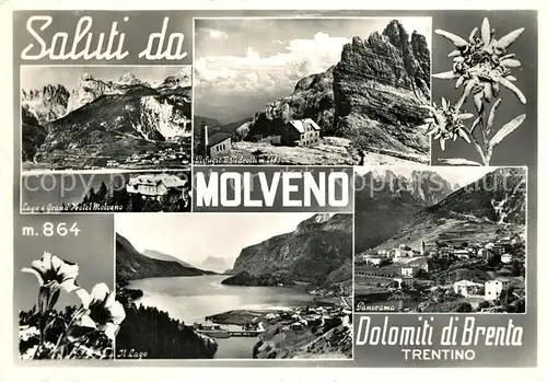 AK / Ansichtskarte Molveno Lago e Grand Hotel Rifugio Pedrolli Panorama Edelweiss Enzian Molveno